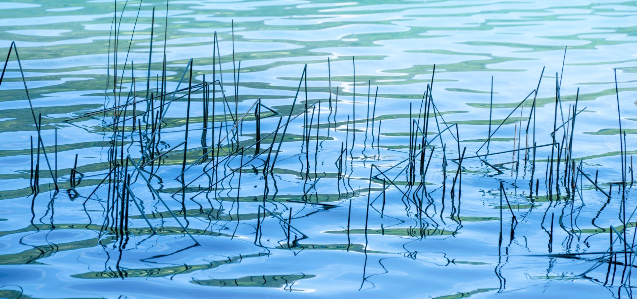 Fuschlsee