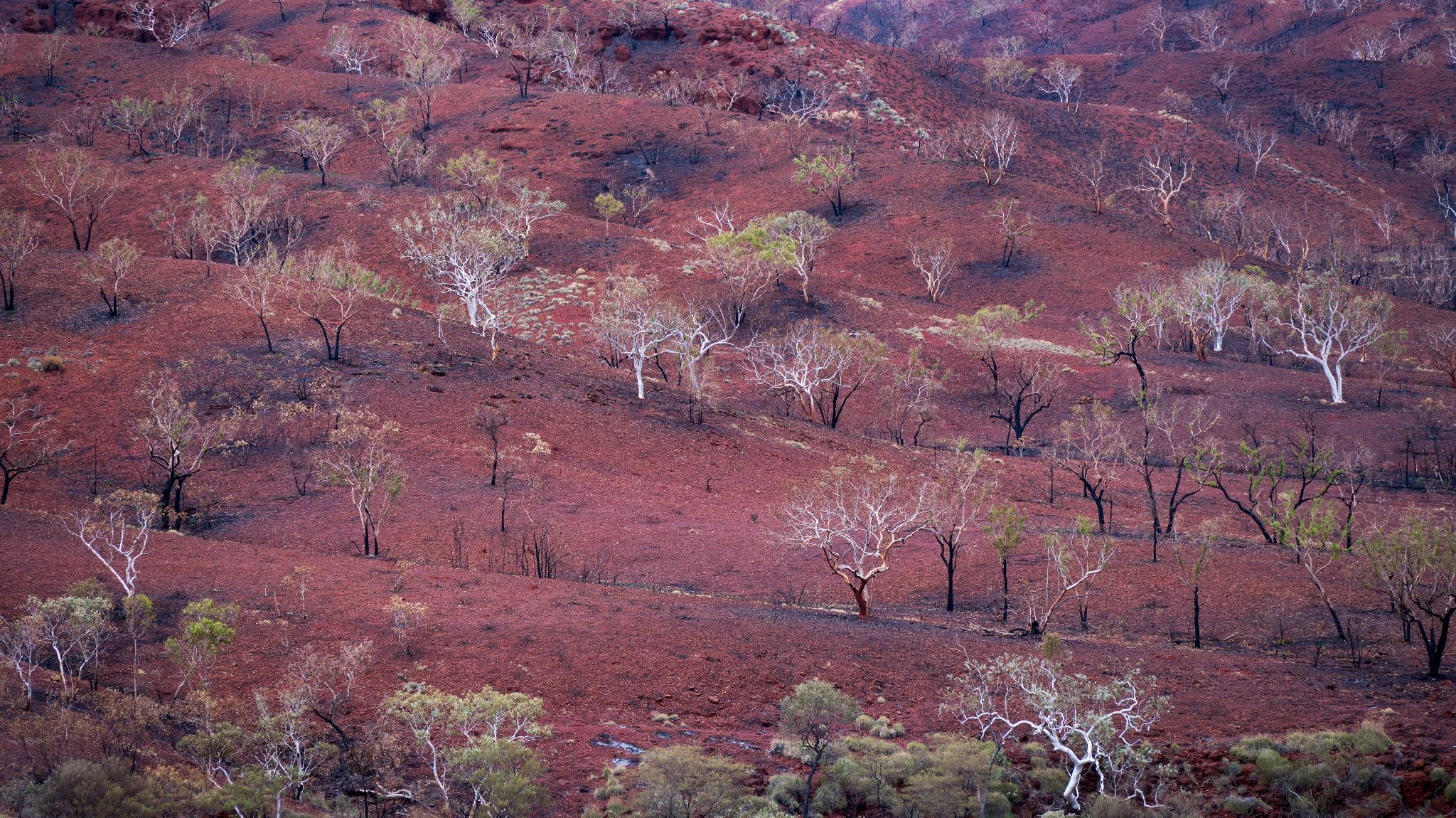 Australien Karijini N.P.