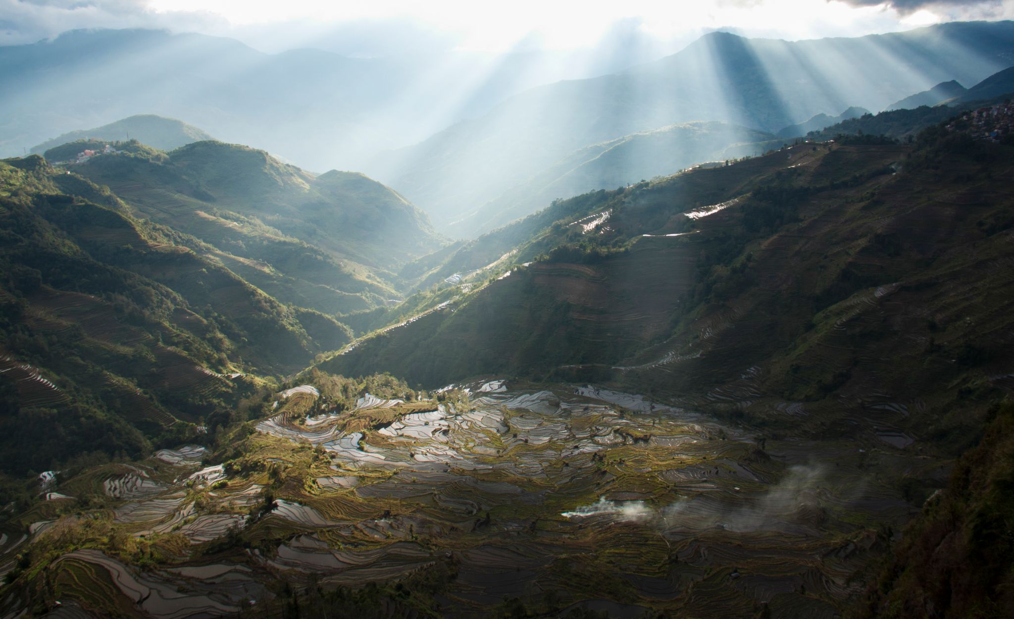 China Yuangyang