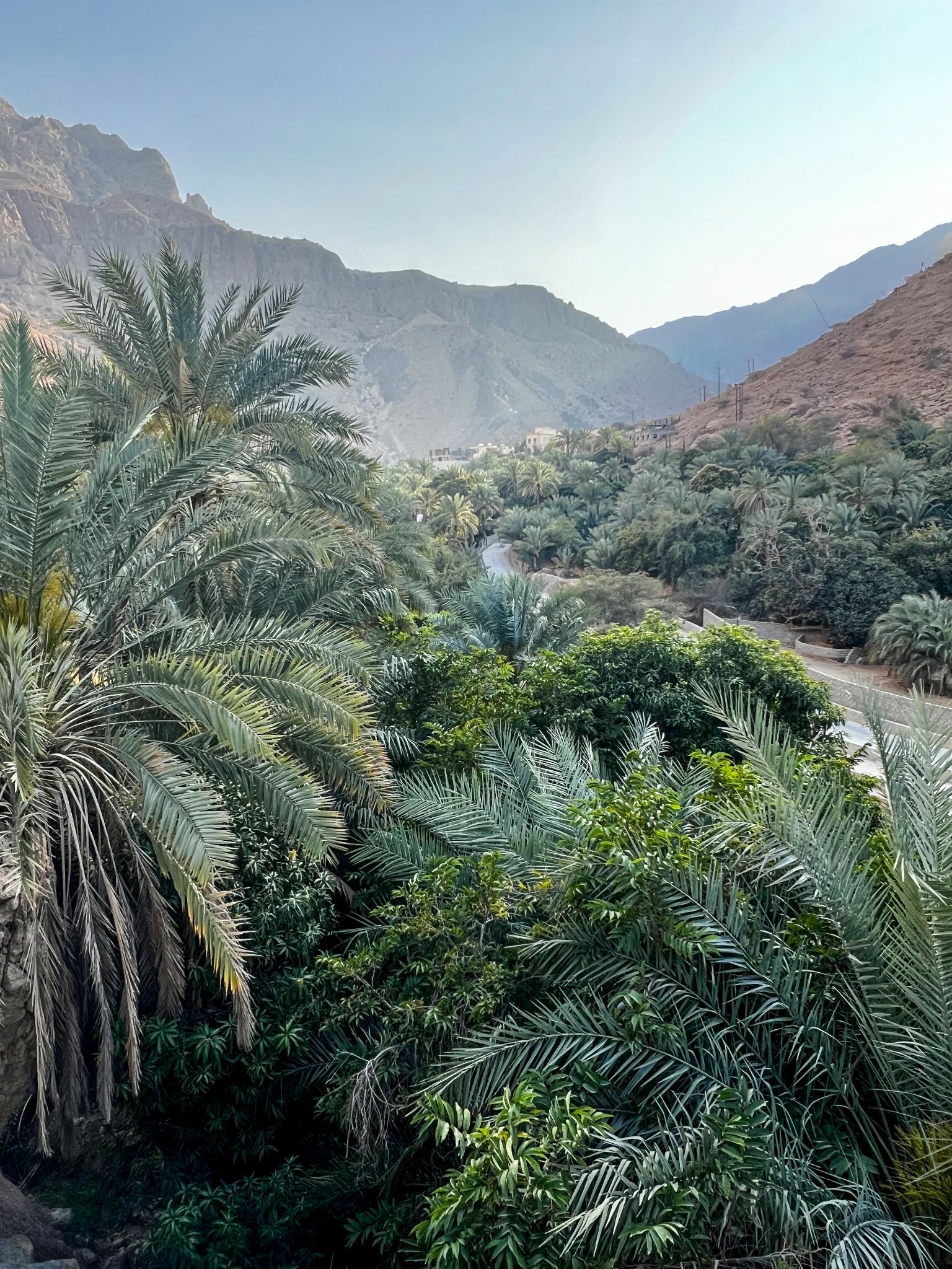 Oman Tiwi