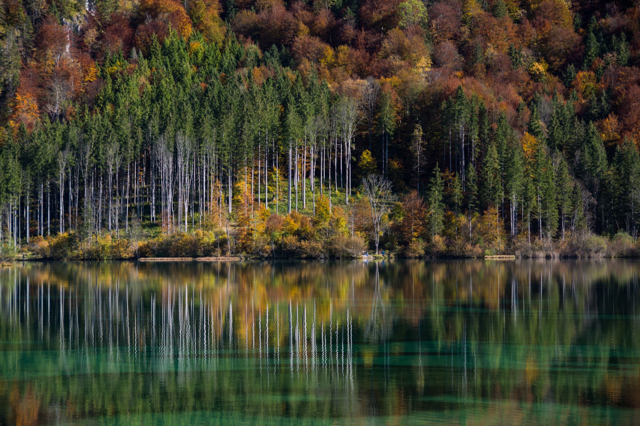 Österreich Almsee