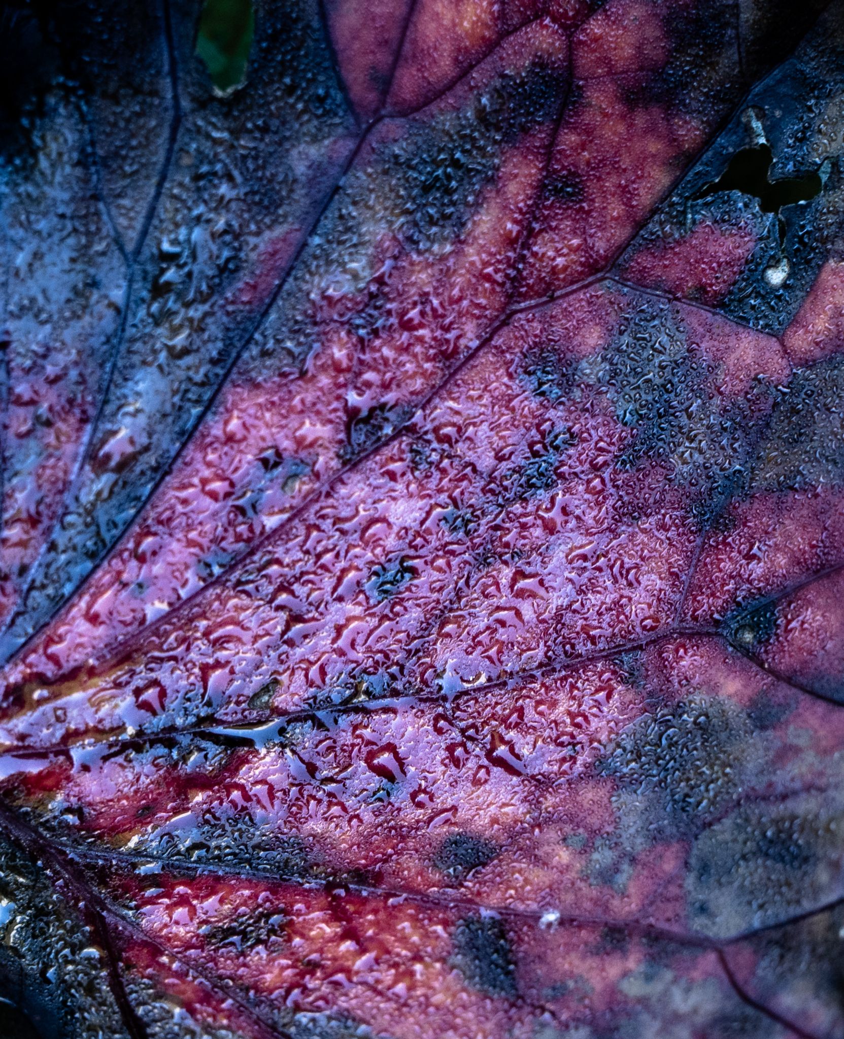 Herbst 2