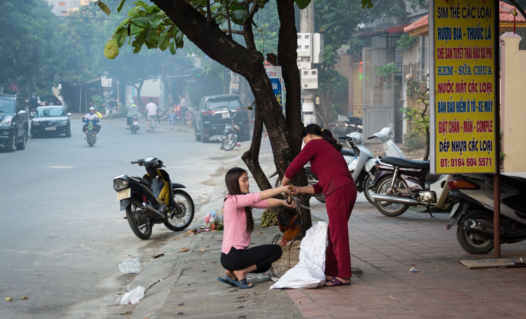 Vietnam Sapa Geflügelverkauf