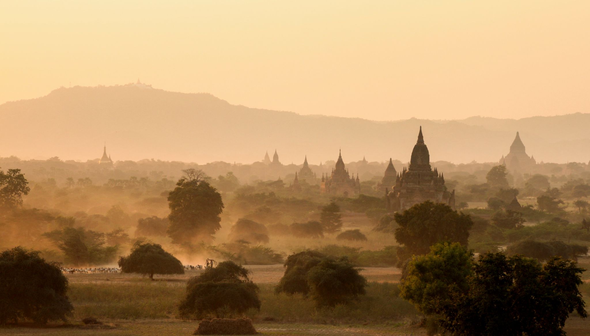 Bagan Tempelfield Myanmar